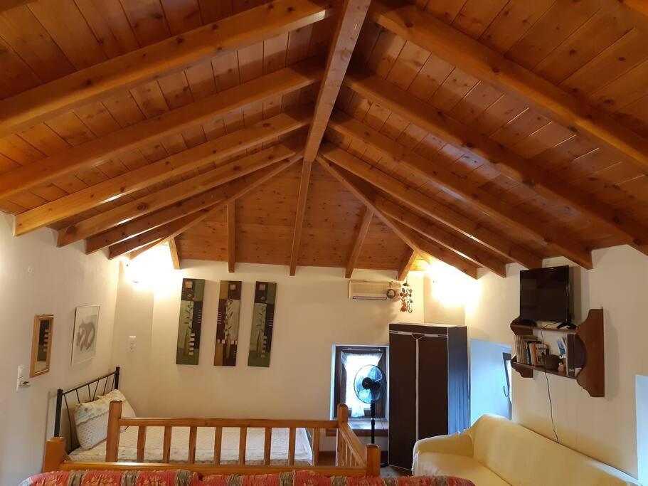 Kouros Villa! Paltsi Pilion Extérieur photo