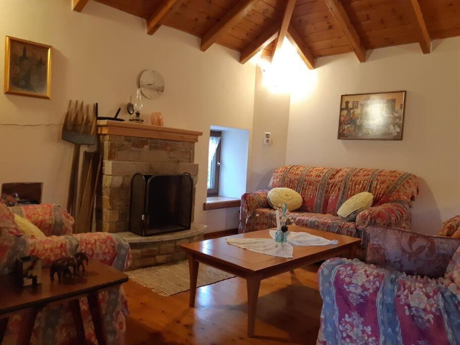 Kouros Villa! Paltsi Pilion Extérieur photo