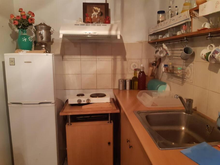Kouros Villa! Paltsi Pilion Extérieur photo