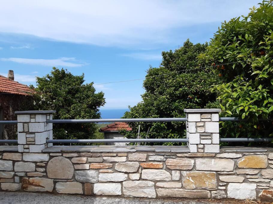 Kouros Villa! Paltsi Pilion Extérieur photo