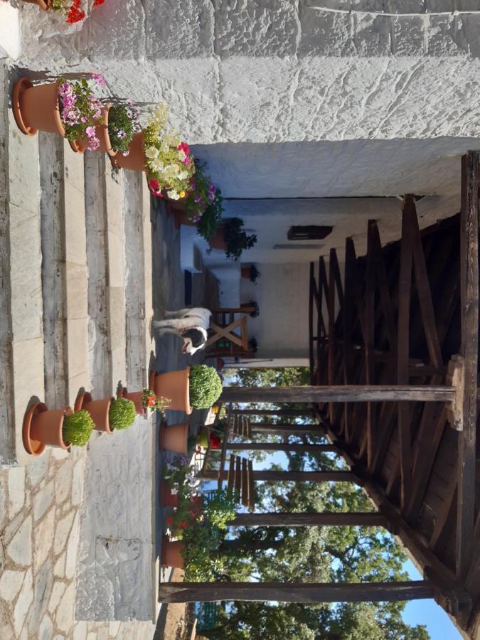 Kouros Villa! Paltsi Pilion Extérieur photo
