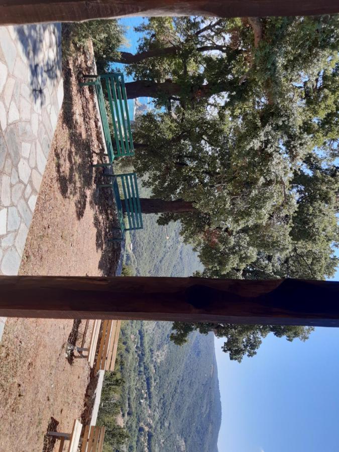 Kouros Villa! Paltsi Pilion Extérieur photo