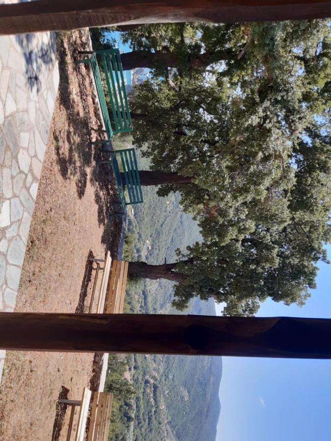 Kouros Villa! Paltsi Pilion Extérieur photo