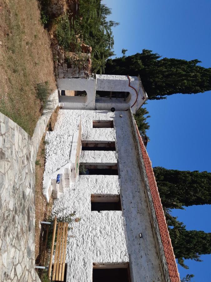 Kouros Villa! Paltsi Pilion Extérieur photo